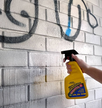 Tricleanium 750ml Graffiti Remover Image