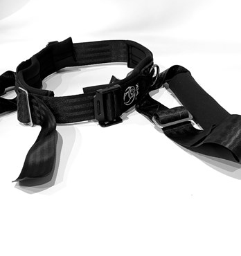 Bungee Harness Image