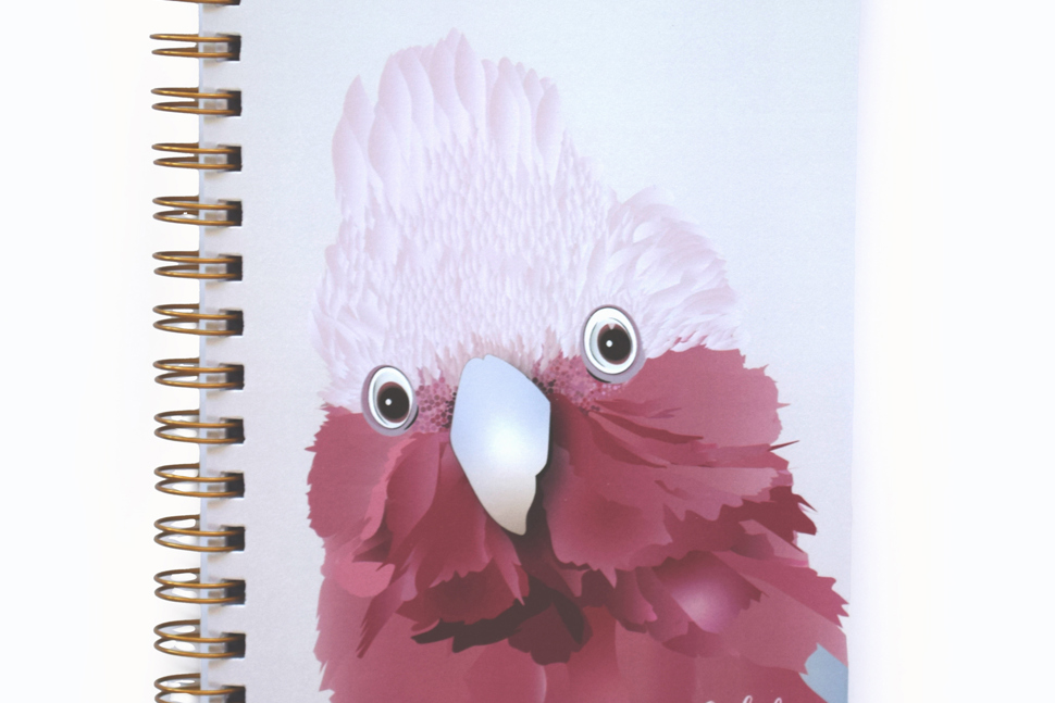 Journals  -  A5 and A6 Wire Bound and Perfect Bound