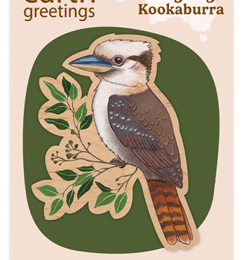 Wooden Magnets Image