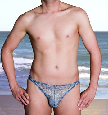 Aussietogs Mesh Swimwear Image