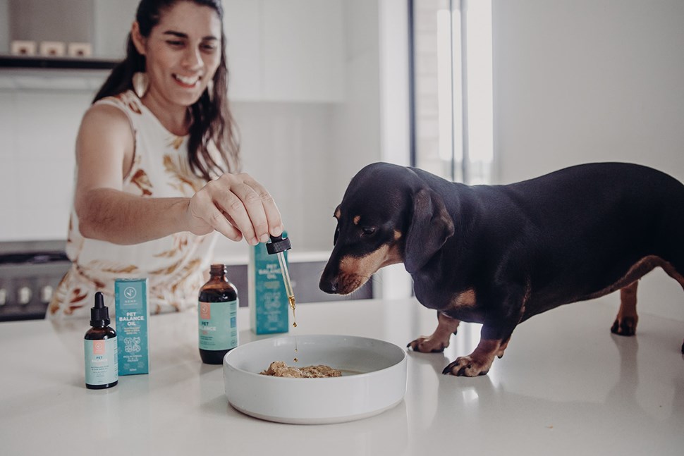 Pet Hemp/Chia Seed Oil