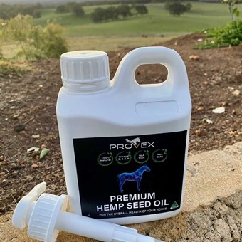 Premium Hemp Seed Oil