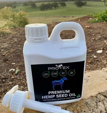 Premium Hemp Seed Oil Image