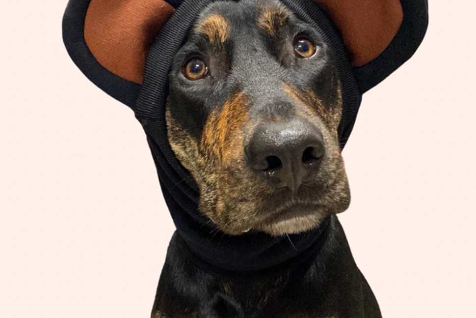 Dog Snoods + Bandanas