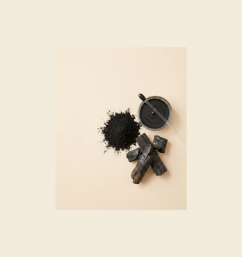 Activated Charcoal Soap Image
