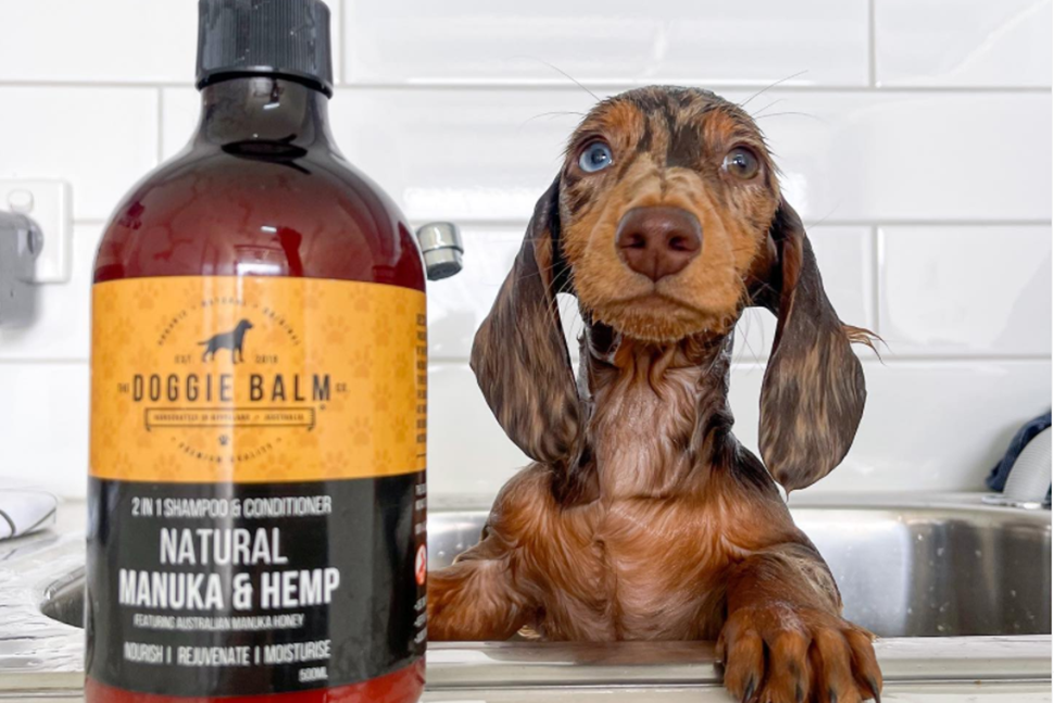 Doggie Balm