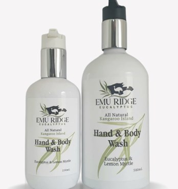 Hand and Body Wash- All Natural  Image