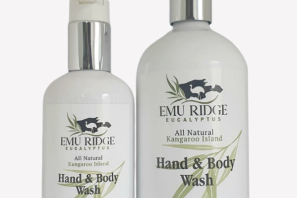 Hand and Body Wash- All Natural 