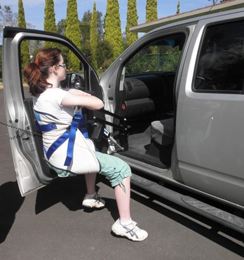 Disability Car Access Lifter/Hoist Image