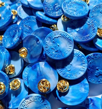 Lapel Pin - Eco Friendly Image