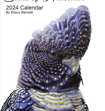 Bird Portraits of Australia Fine Art Calendar 2024 Image