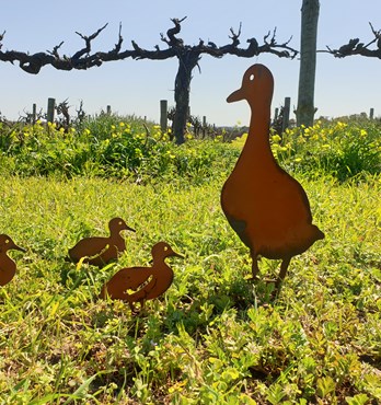 Walking Duck Family Garden Stakes - Australian Made Rusted Metal Garden Art Image