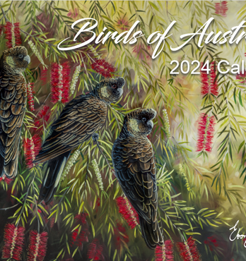 Birds of Australia Fine Art Calendar 2024 Image