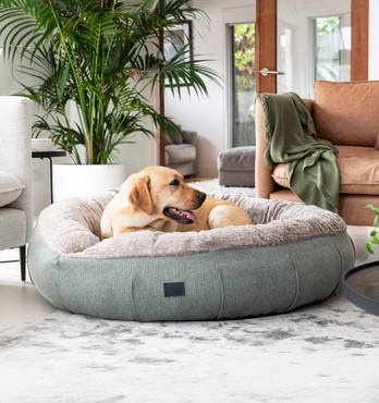 Harley Dog Bed Image