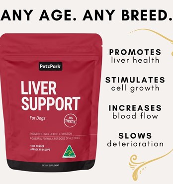 Liver Support for Dogs Image