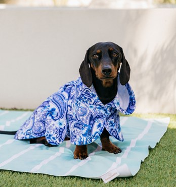 Dog Poncho Towels Image