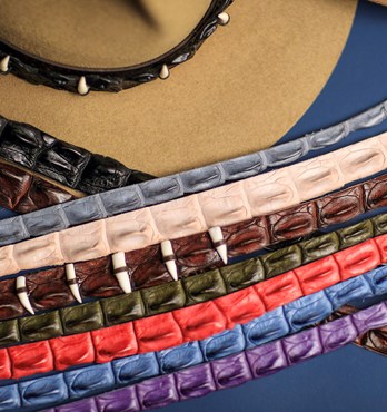 Crocodile Hatbands Image