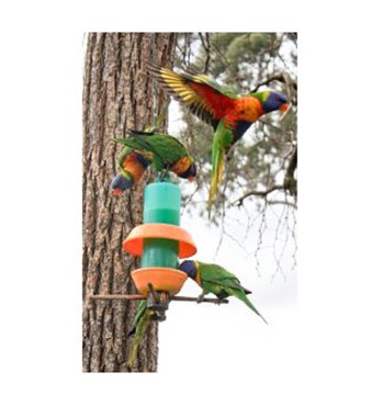 Nekta Vite Bird Feeders Image