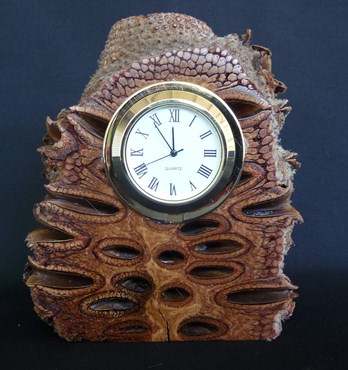 Banksia Clocks Image