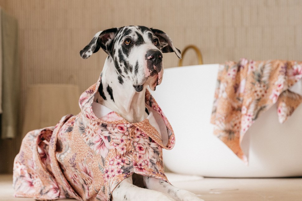 Dog Poncho Towels