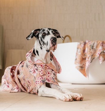 Dog Poncho Towels Image