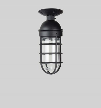 The Atomic Industrial Caged Flush Mount Light Image