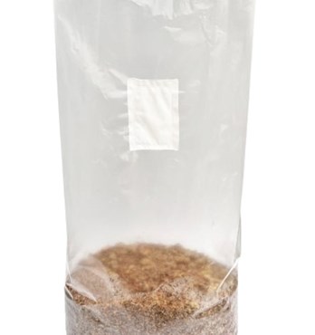Sawdust - Mushroom Substrate Pre-Sterilised 2kg Image
