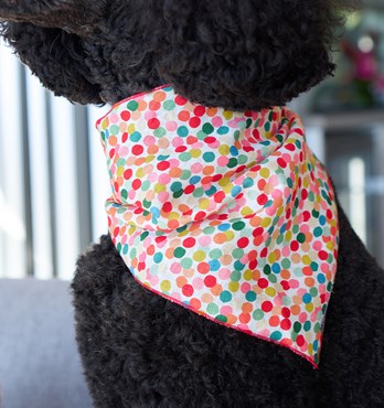 Dog Bandanas Image