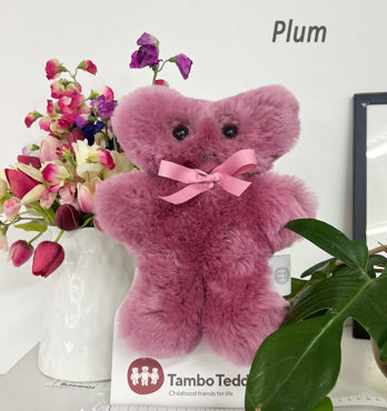 Tambo Teddy Puffy Bickie Bears Image