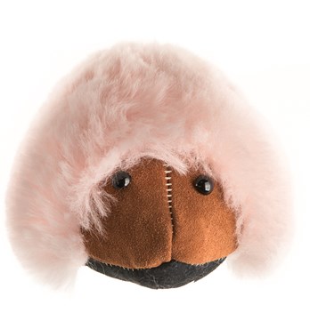 Tambo Teddy Echidnas Image