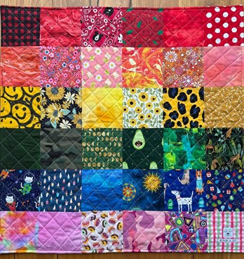 Byron & Co Dog Place Training Mats Image