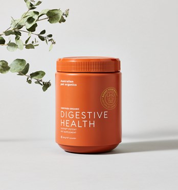 Digestive Health Supplement Powder Image