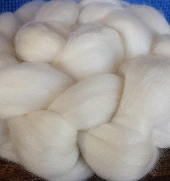 Beersheba Farm Wool Image