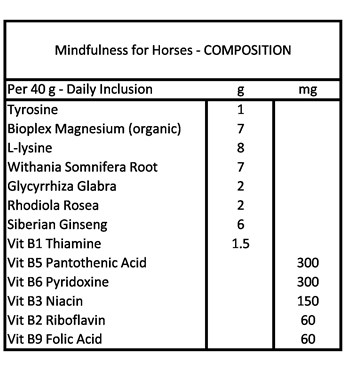 Mindfulness for Horses  Image