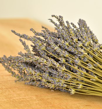 Dried Lavender bunch Image