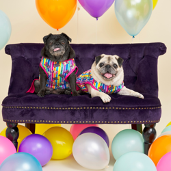 Pugs n Stripes Pink Dress