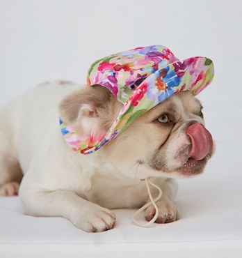 Dog Bucket Hats Image
