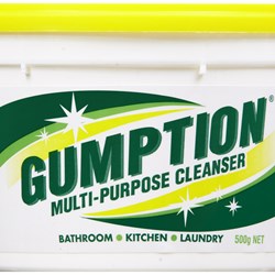 Gumption Paste Multi Purpose Cleanser