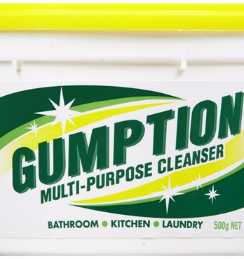 Gumption Paste Multi Purpose Cleanser Image
