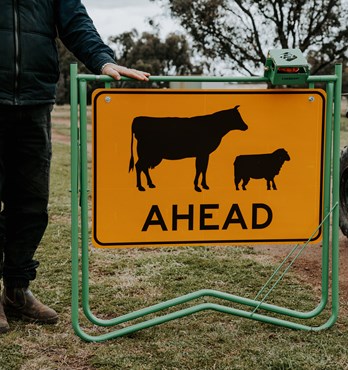 Stock Ahead Sign Image