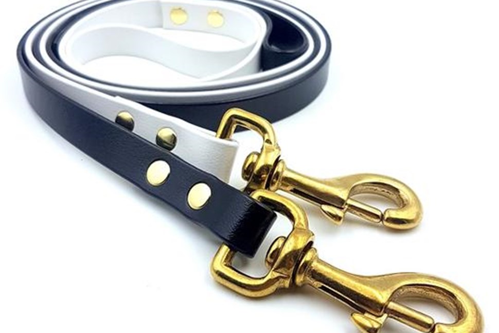 Weatherproof Strapping Dog Leads (Biothane)