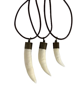 Crocodile Tooth Necklace Image