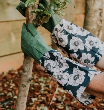 Garden Gloves Image