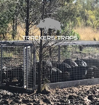Trackers Trap Image