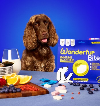 Wonderfur Bites Immune Booster for dogs Image