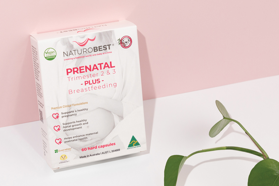 Prenatal Trimester 2 & 3 Plus Breastfeeding