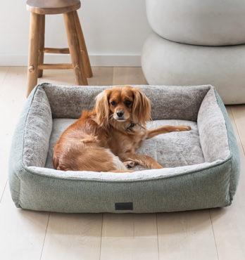 Dog Lounger  Image