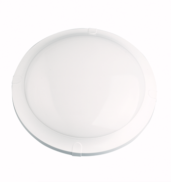 Belle Wall and Ceiling Light Image