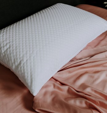 Sleepwise Pillow Protector Image